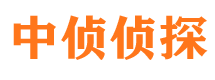 黎川市侦探公司